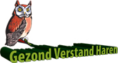 Gezond Verstand Haren