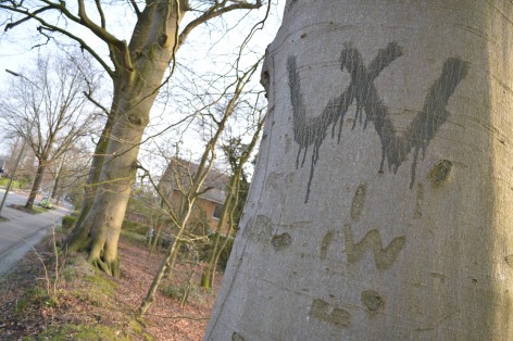 April18 VV op boom (2)