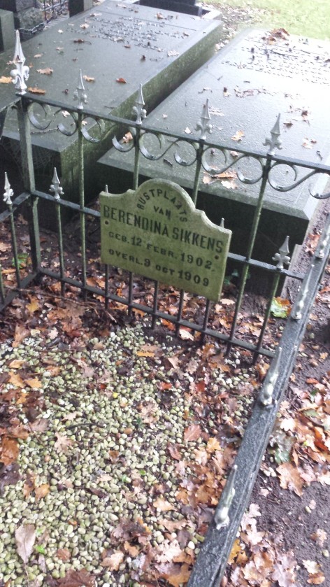 Berendina sikkens graf