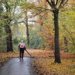 Bladblazen, één van de vele klussen in het park