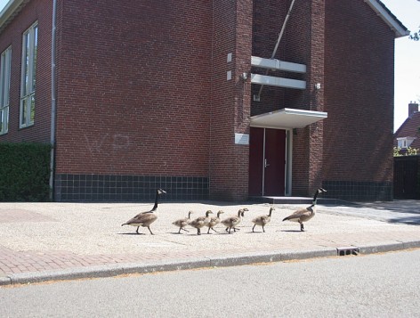 Hulscher ganzen voor de kerk