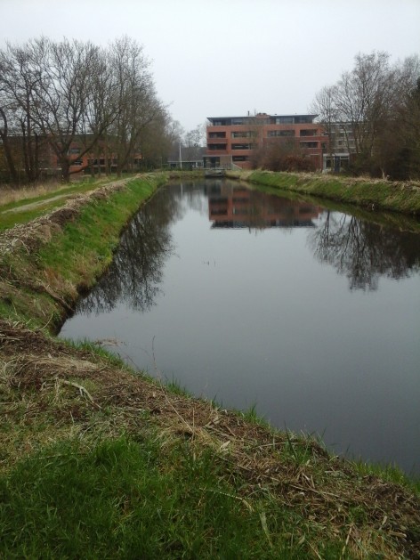 Vaart Haren 2016