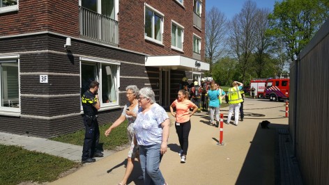 Dilgt brand 2