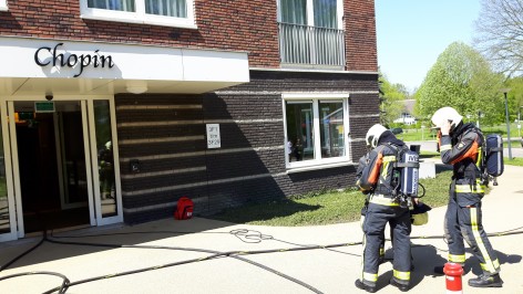 Dilgt brand 5