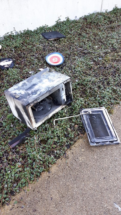 Dilgt brand 6