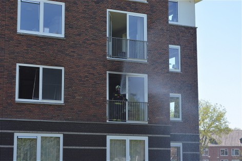 Dilgt brand 7