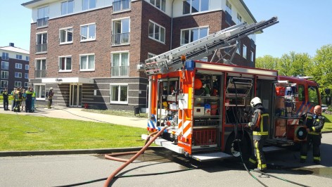 Dilgt brand3