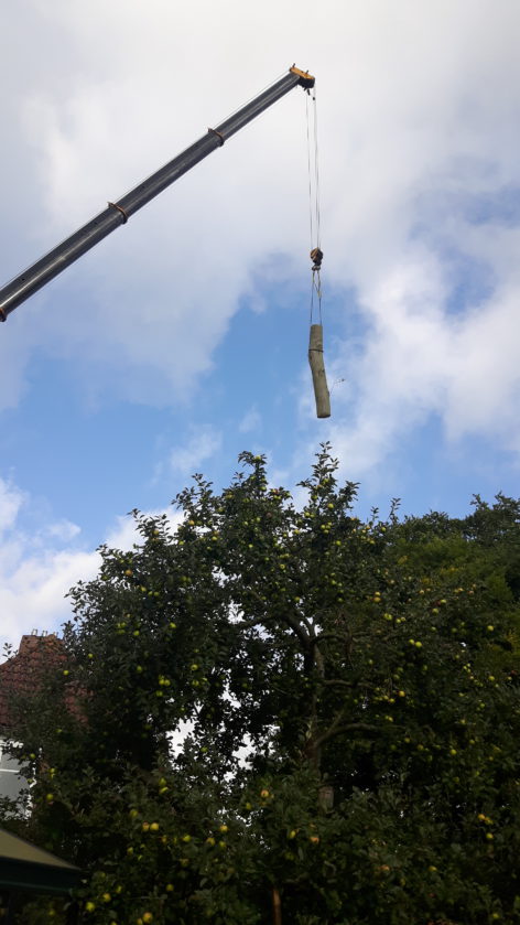 sep33-bomen-noordlaren-hoog