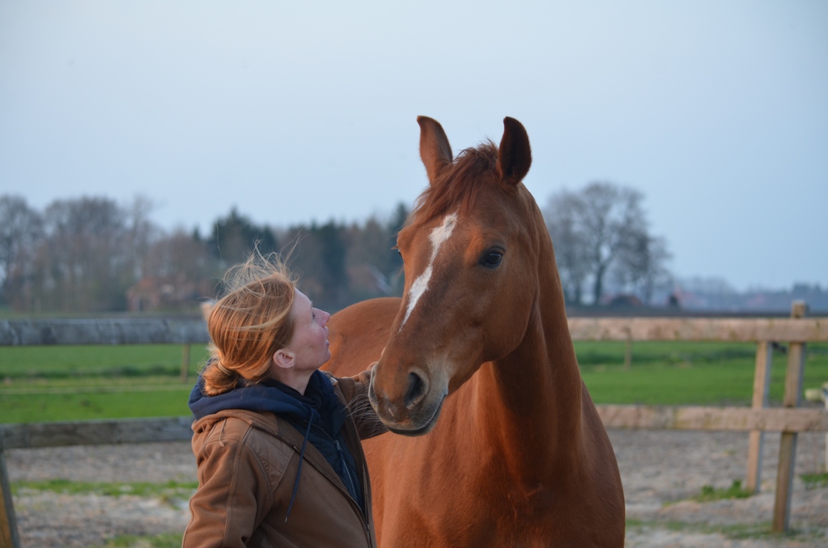 Paarden zijn goede leermeesters - Haren de Krant - Haren de Krant